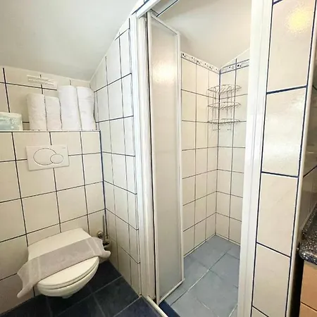 아파트 Kohlerhaus 플라차우