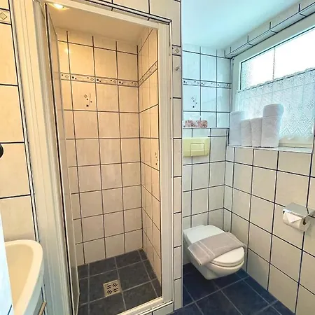 Kohlerhaus 아파트 플라차우